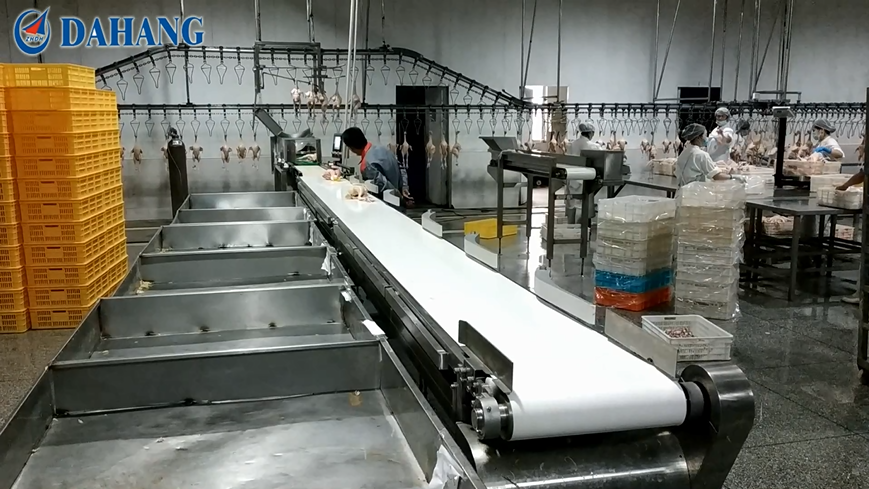 珠海大航重量分选机 养殖业工厂的主力军，效率提升超50%